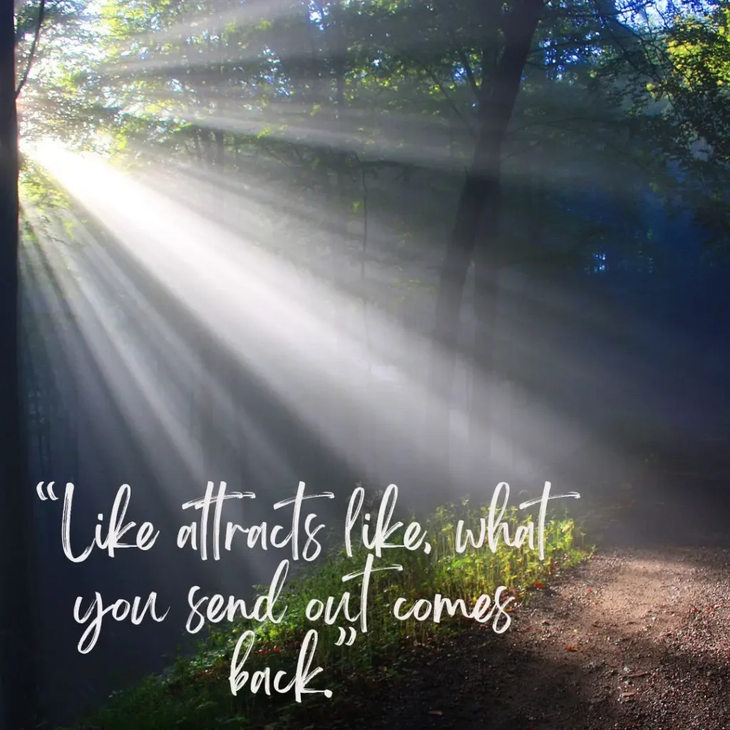 Powerful Law of Attraction Quotes to Inspire Your Dream Life Powerful Law of Attraction Quotes to Inspire Your Dream Life