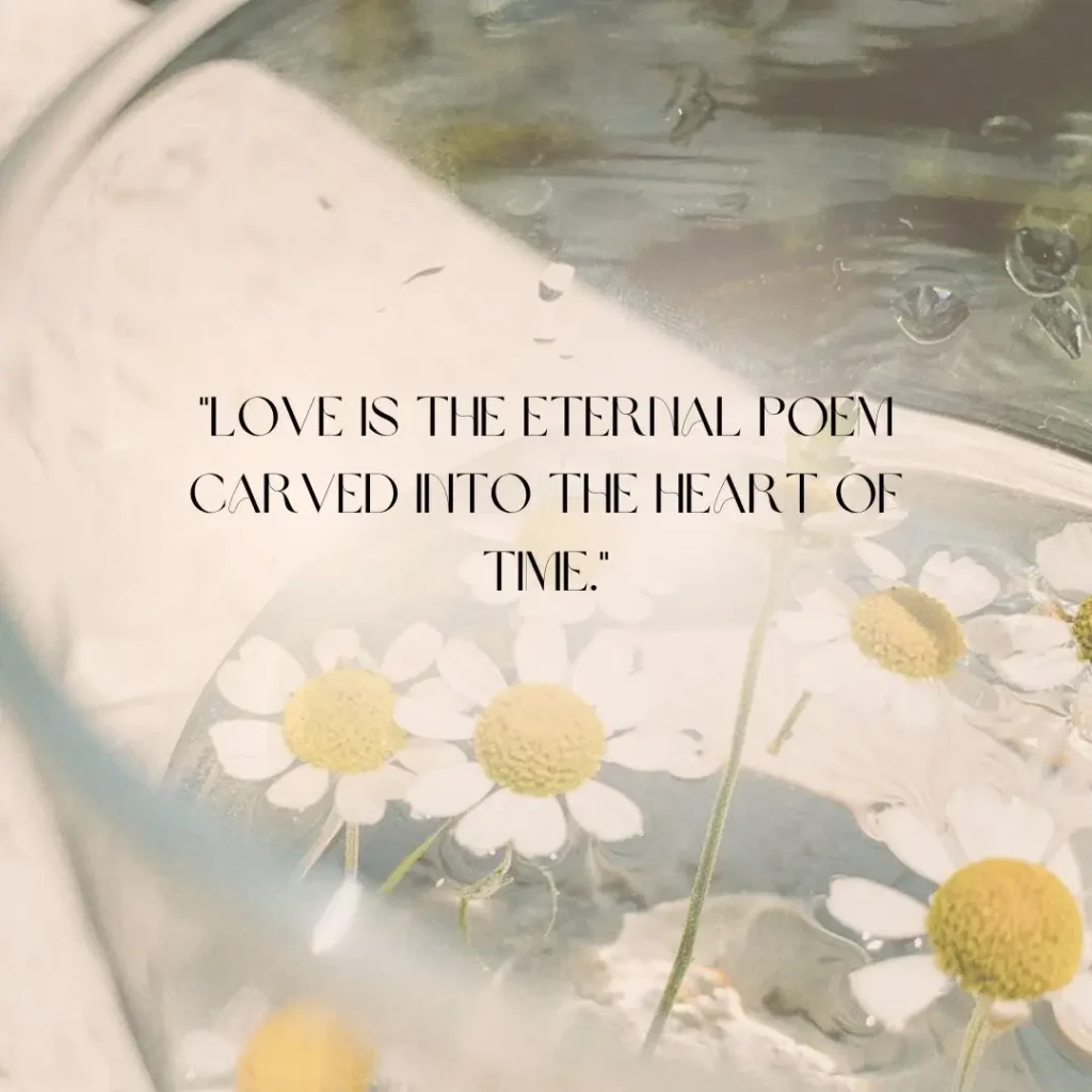 Romantic Poetry Quotes to Express Deep Love