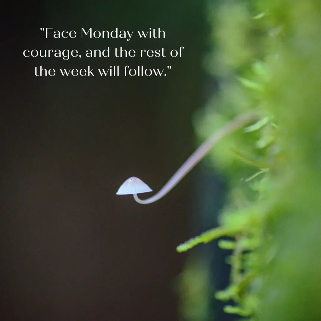 Monday Motivation Quotes to Kickstart Your Week with Positivity