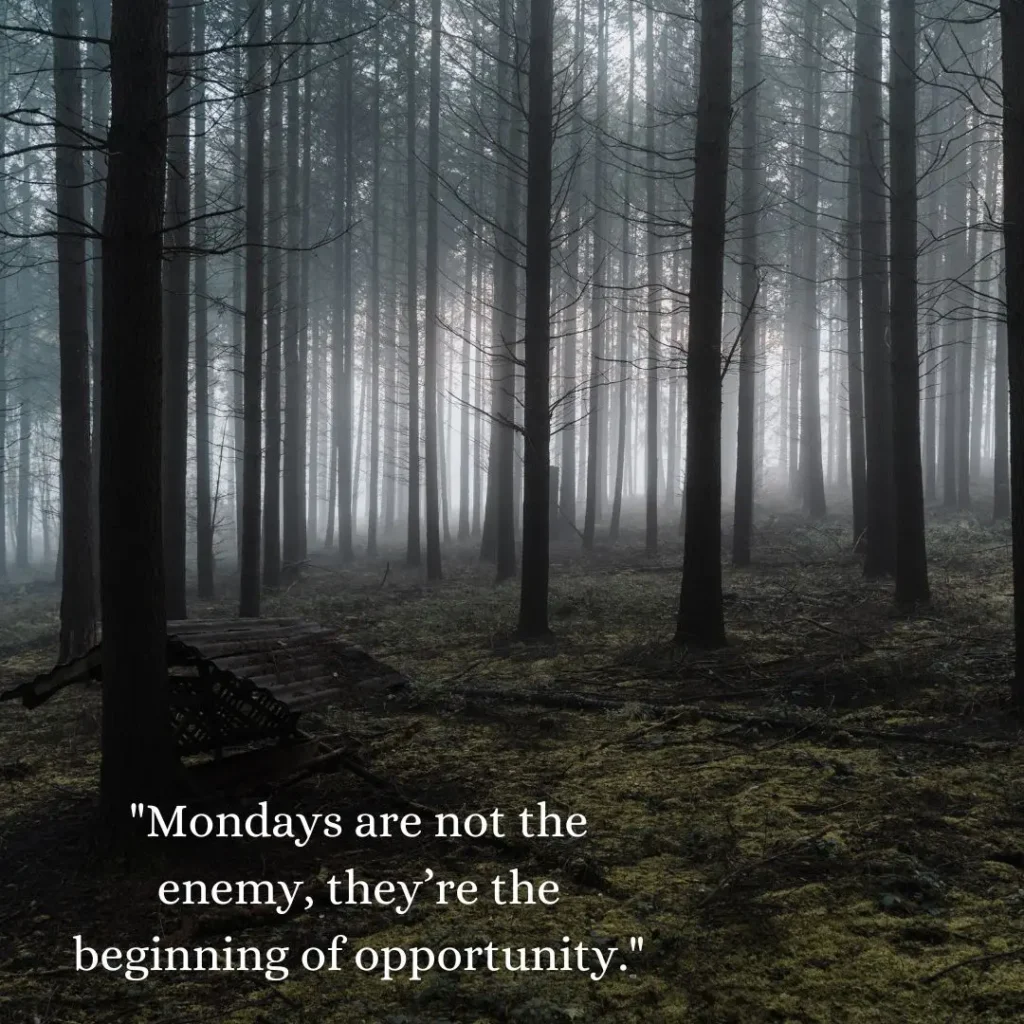 Monday Motivation Quotes to Kickstart Your Week with Positivity