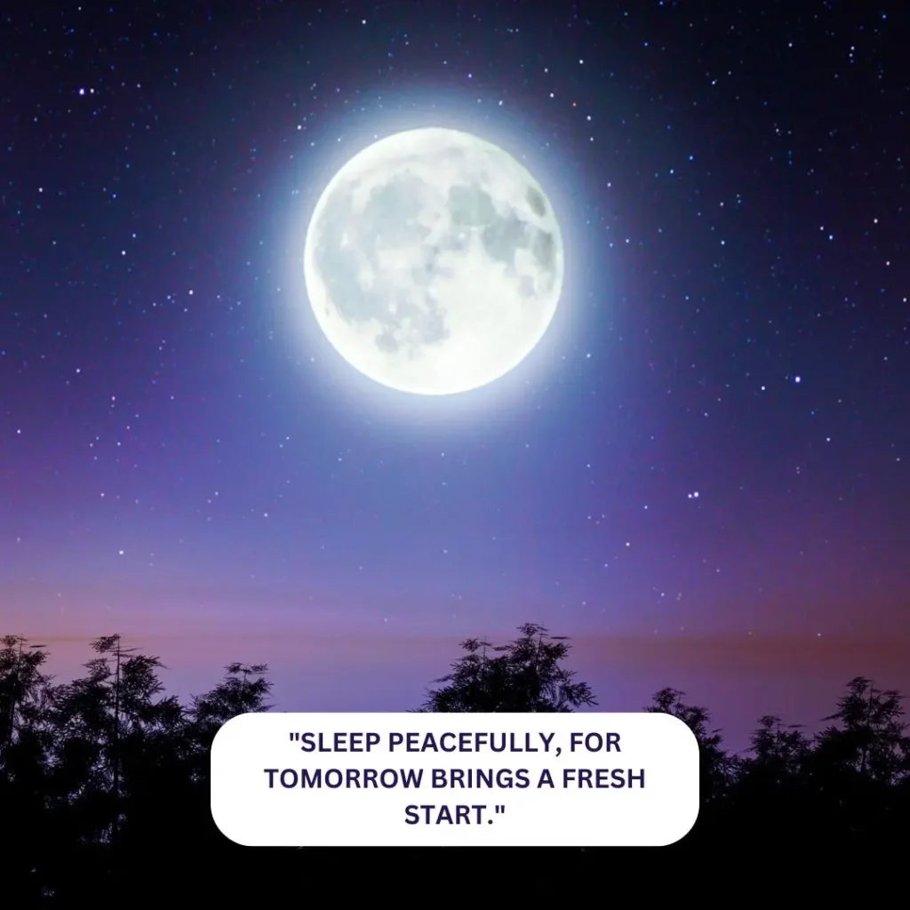 Cute Good Night Quotes to End Your Day with Love & Warmth Cute Good Night Quotes to End Your Day with Love & Warmth