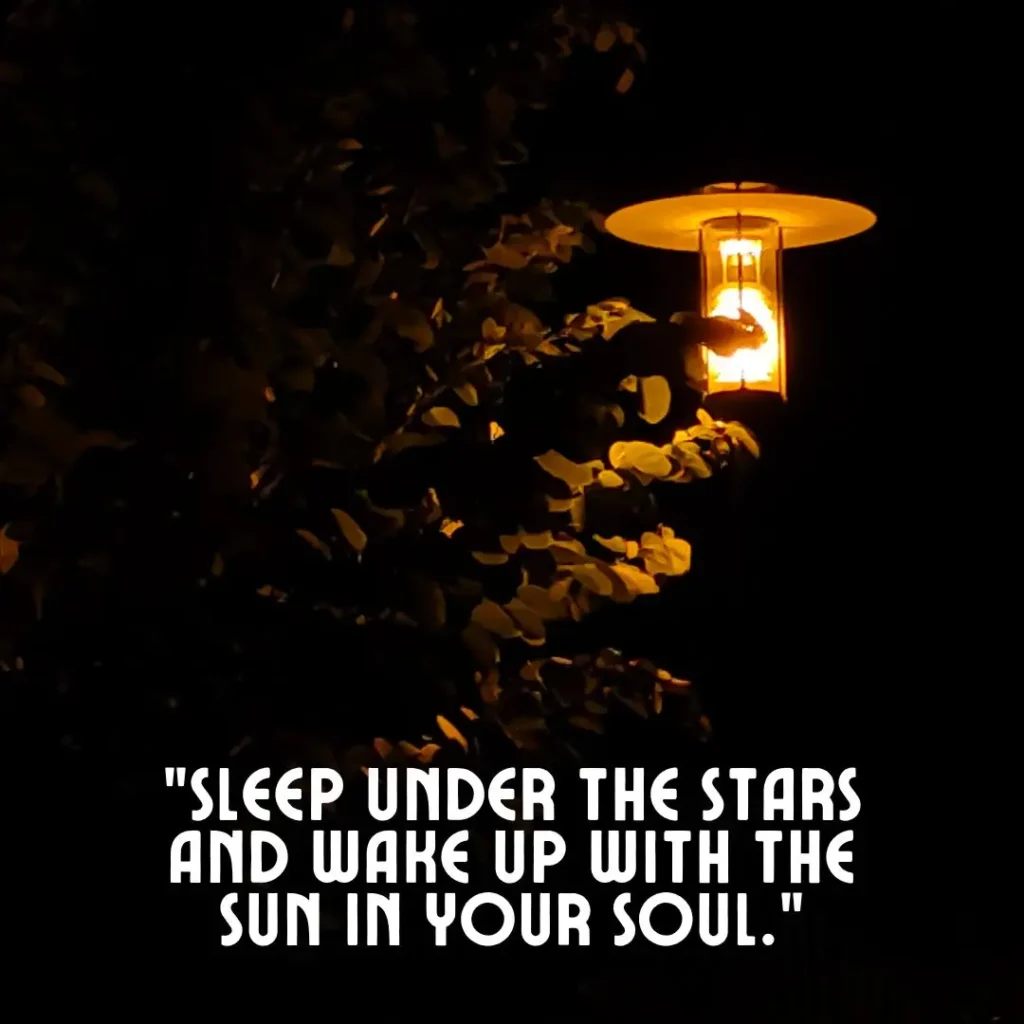 Cute Good Night Quotes to End Your Day with Love & Warmth Cute Good Night Quotes to End Your Day with Love & Warmth