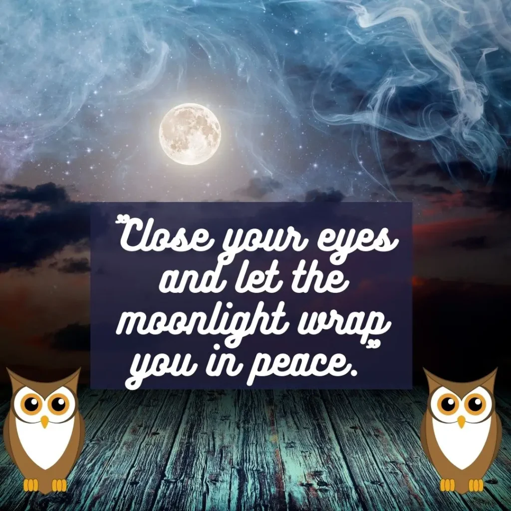 Cute Good Night Quotes to End Your Day with Love & Warmth Cute Good Night Quotes to End Your Day with Love & Warmth