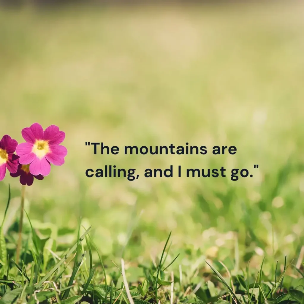 Beautiful Quotes About Nature to Inspire Peace and Wonder Beautiful Quotes About Nature to Inspire Peace and Wonder