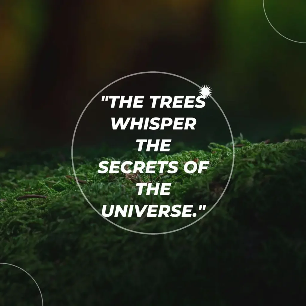 Beautiful Quotes About Nature to Inspire Peace and Wonder Beautiful Quotes About Nature to Inspire Peace and Wonder