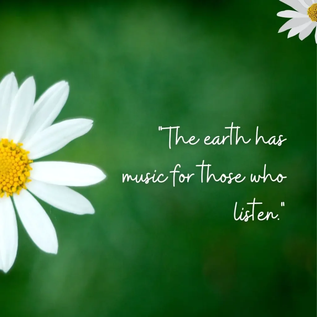 Beautiful Quotes About Nature to Inspire Peace and Wonder Beautiful Quotes About Nature to Inspire Peace and Wonder