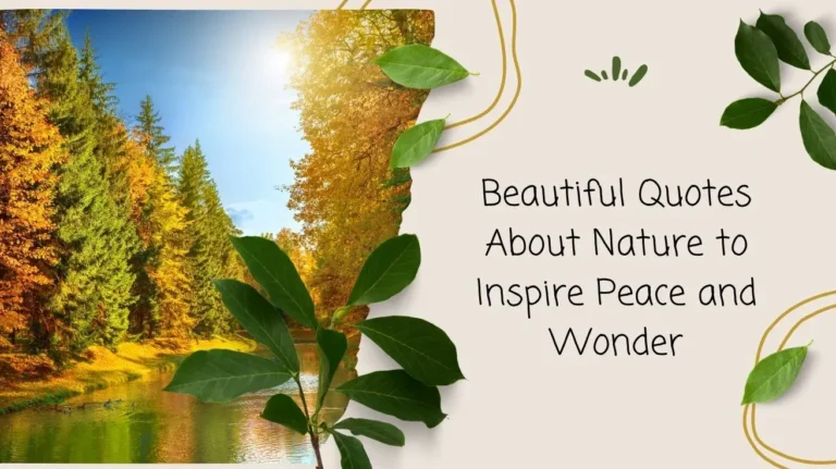 Beautiful Quotes About Nature to Inspire Peace and Wonder