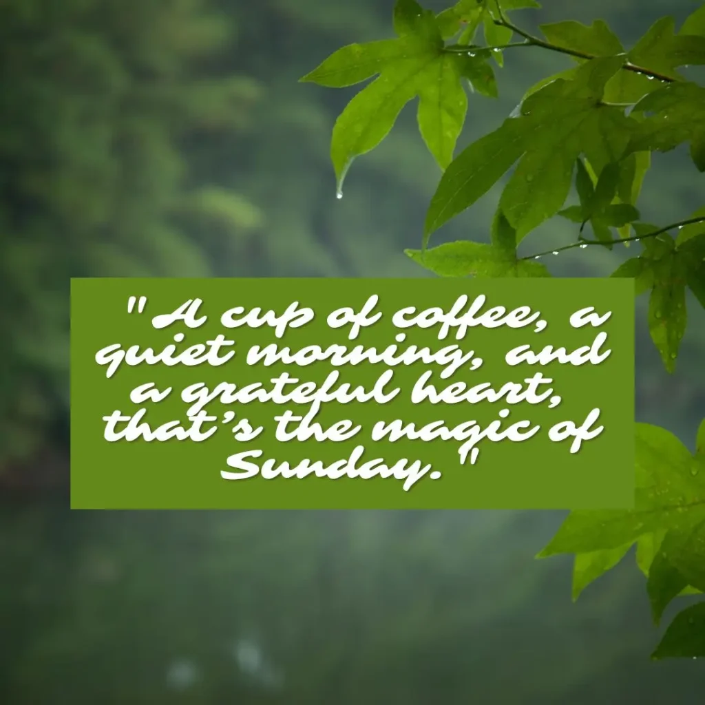 Refreshing Sunday Morning Quotes to Brighten Your Soul and Start the Week Right