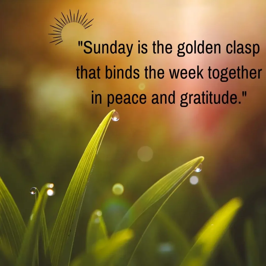 Refreshing Sunday Morning Quotes to Brighten Your Soul and Start the Week Right