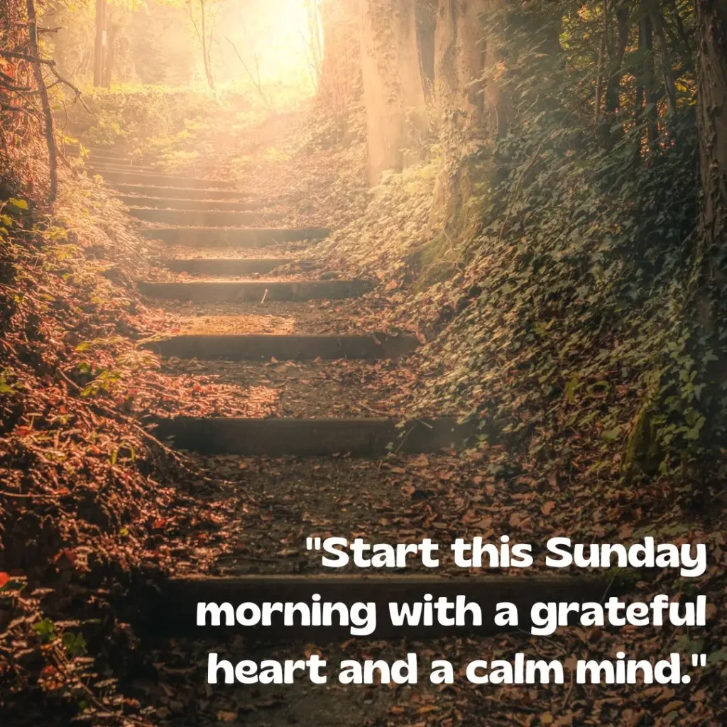 Refreshing Sunday Morning Quotes to Brighten Your Soul and Start the Week Right