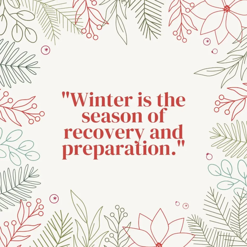 Winter Quotes to Embrace the Magic of the Season