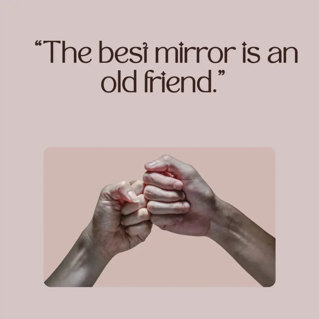 Quotes About Friendship to Celebrate Your True Bonds