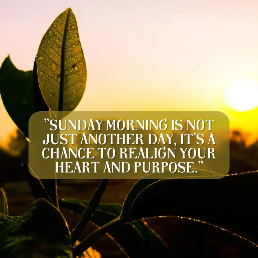 Refreshing Sunday Morning Quotes to Brighten Your Soul and Start the Week Right