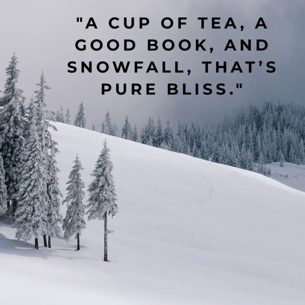 Winter Quotes to Embrace the Magic of the Season