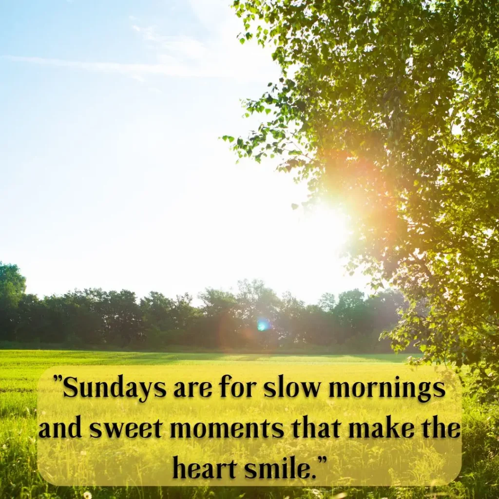 Refreshing Sunday Morning Quotes to Brighten Your Soul and Start the Week Right