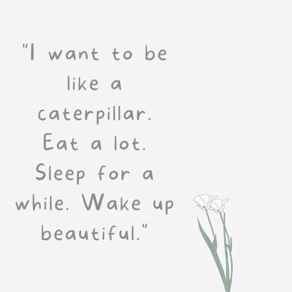 Entertaining Quotes to Brighten Your Day and Make You Smile
