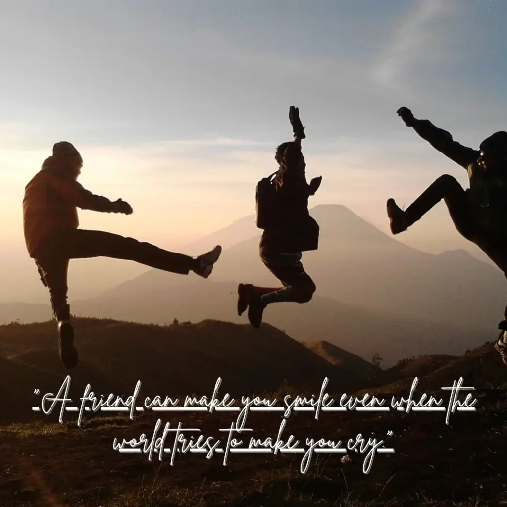 Quotes About Friendship to Celebrate Your True Bonds