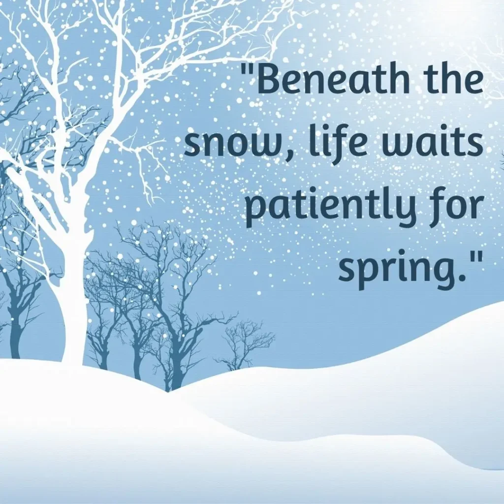 Winter Quotes to Embrace the Magic of the Season