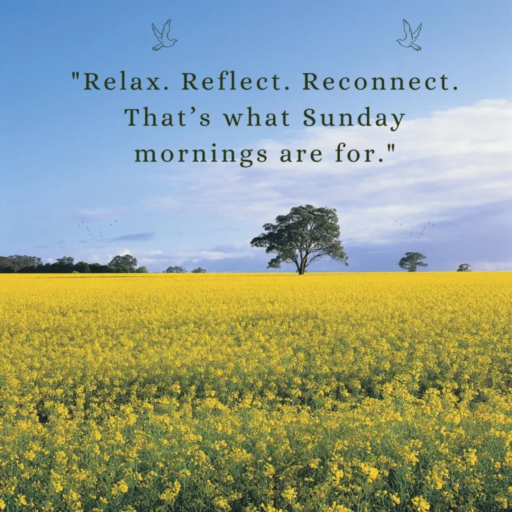 Refreshing Sunday Morning Quotes to Brighten Your Soul and Start the Week Right

