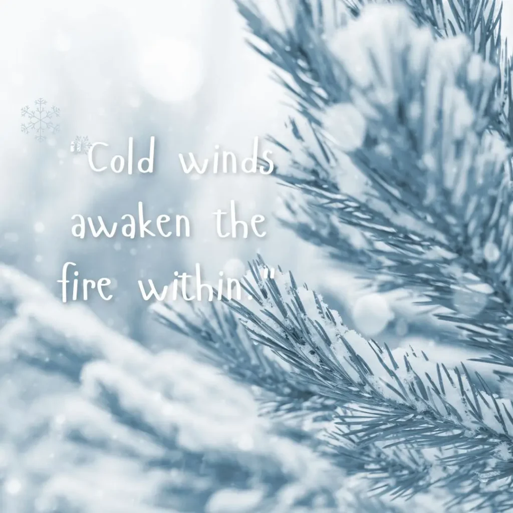 Winter Quotes to Embrace the Magic of the Season