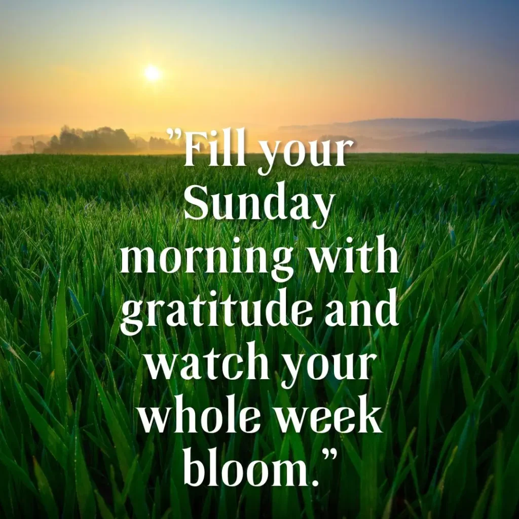 Refreshing Sunday Morning Quotes to Brighten Your Soul and Start the Week Right

