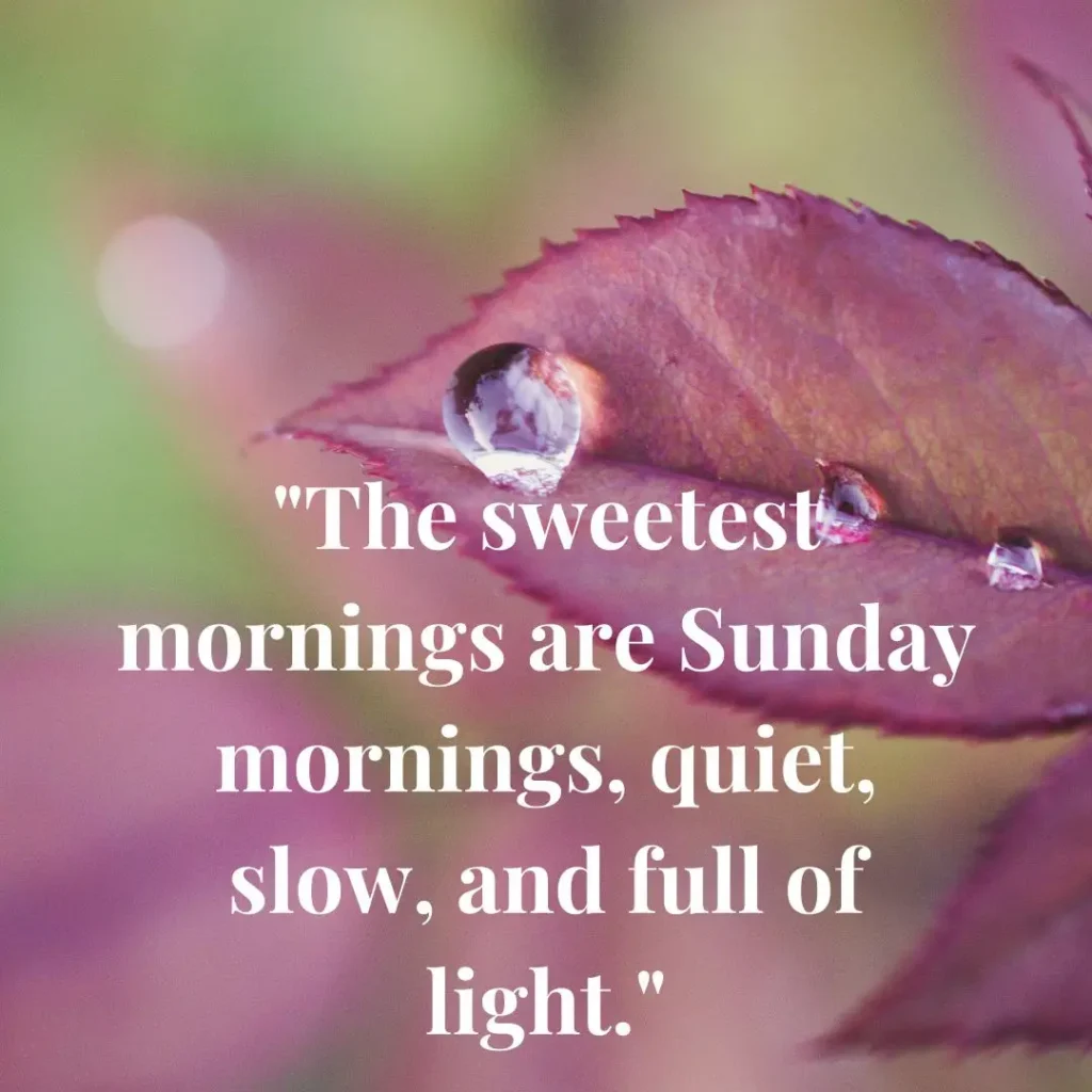 Refreshing Sunday Morning Quotes to Brighten Your Soul and Start the Week Right

