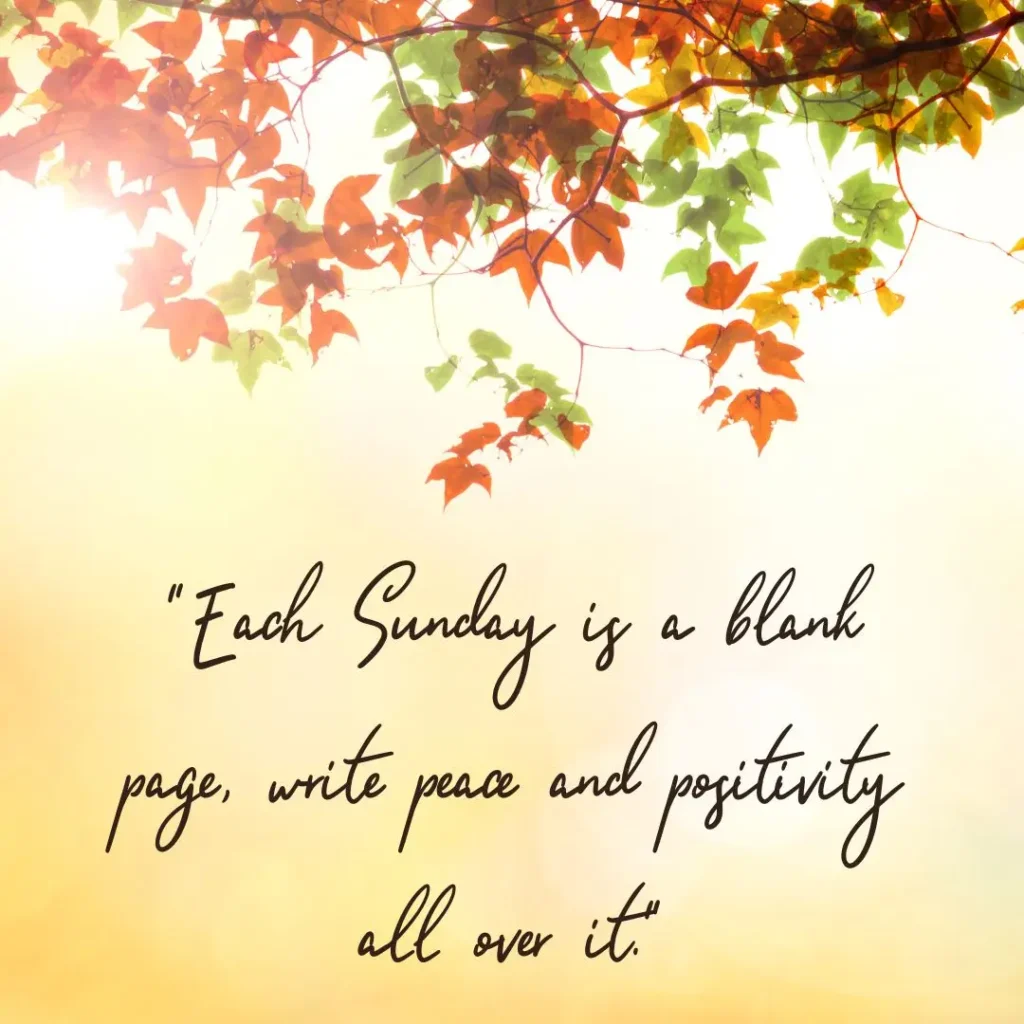 Refreshing Sunday Morning Quotes to Brighten Your Soul and Start the Week Right

