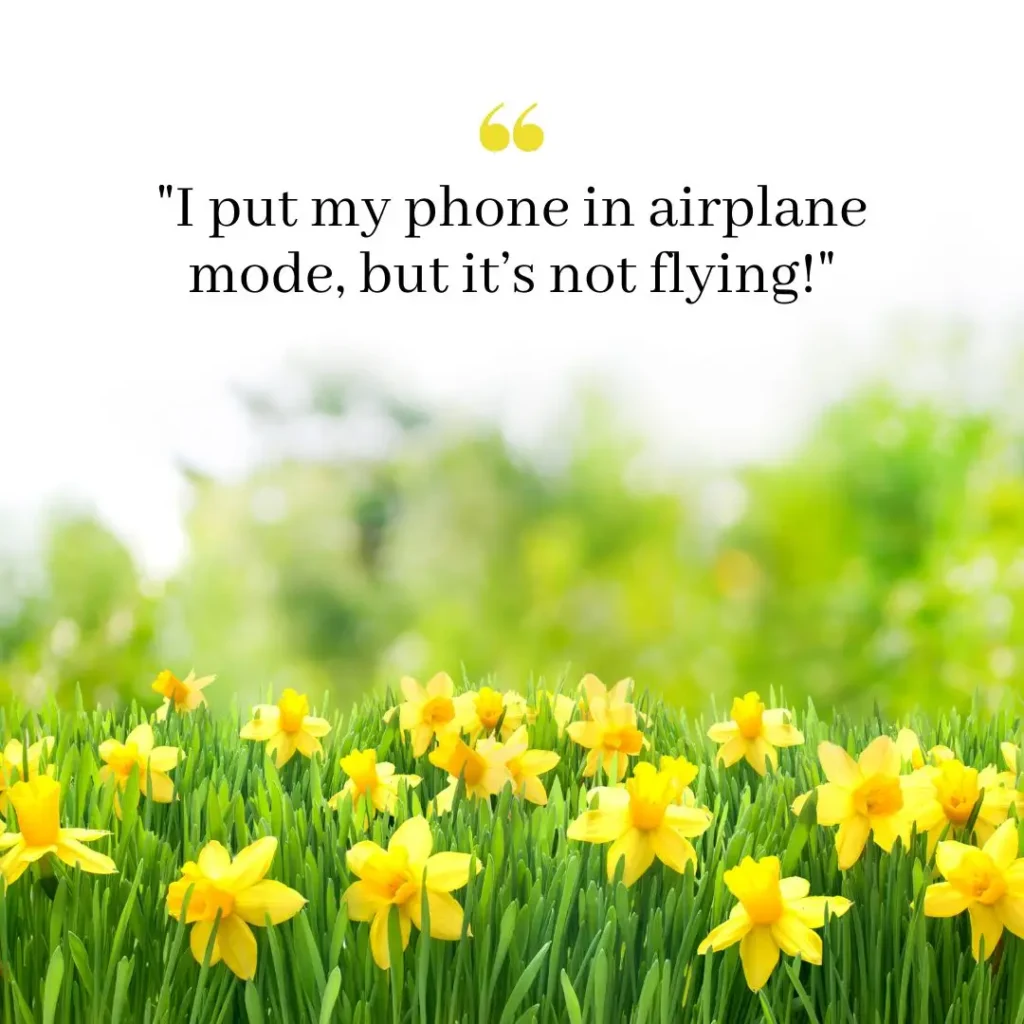 Entertaining Quotes to Brighten Your Day and Make You Smile