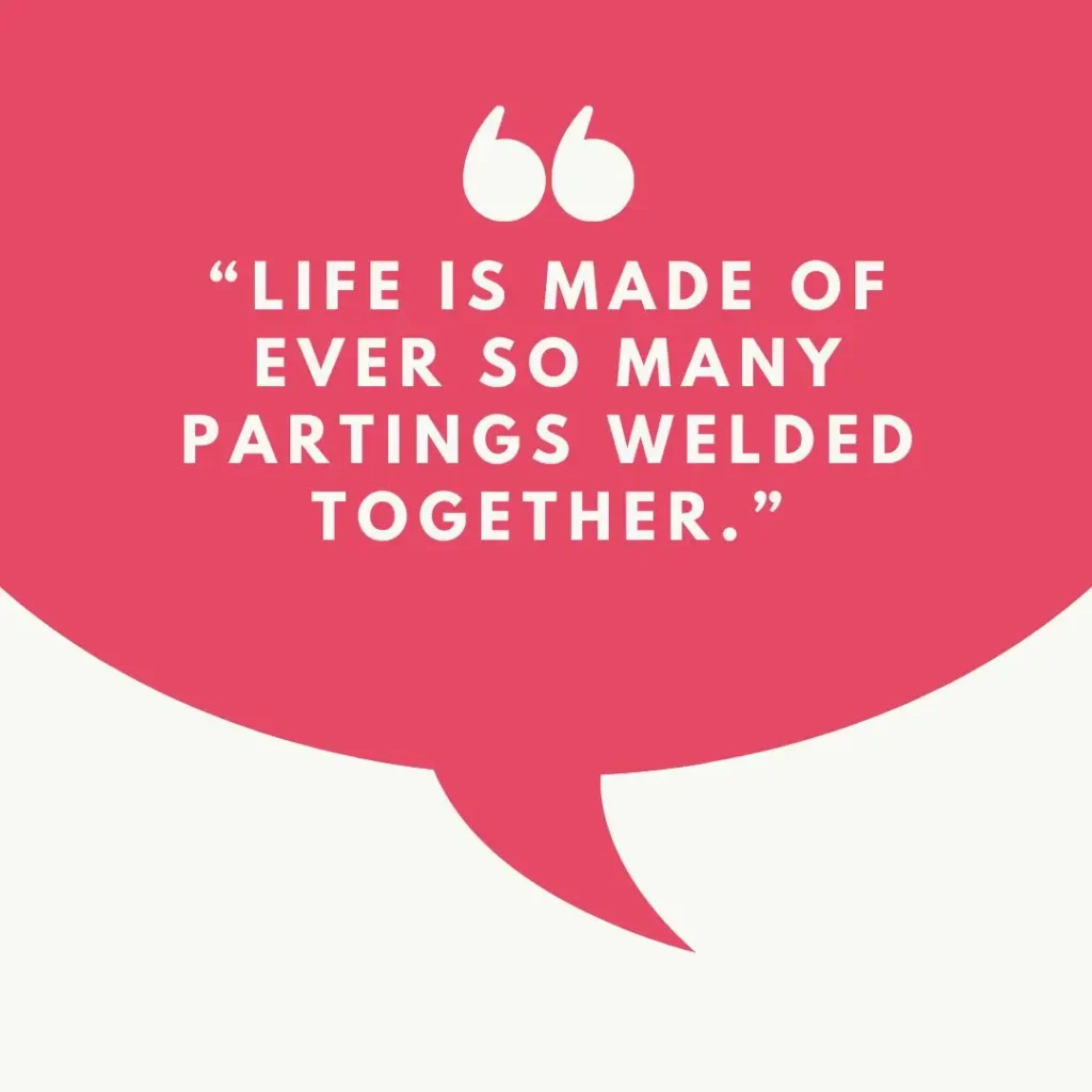 Beautiful Quotes About Life to Inspire Positivity and Purpose