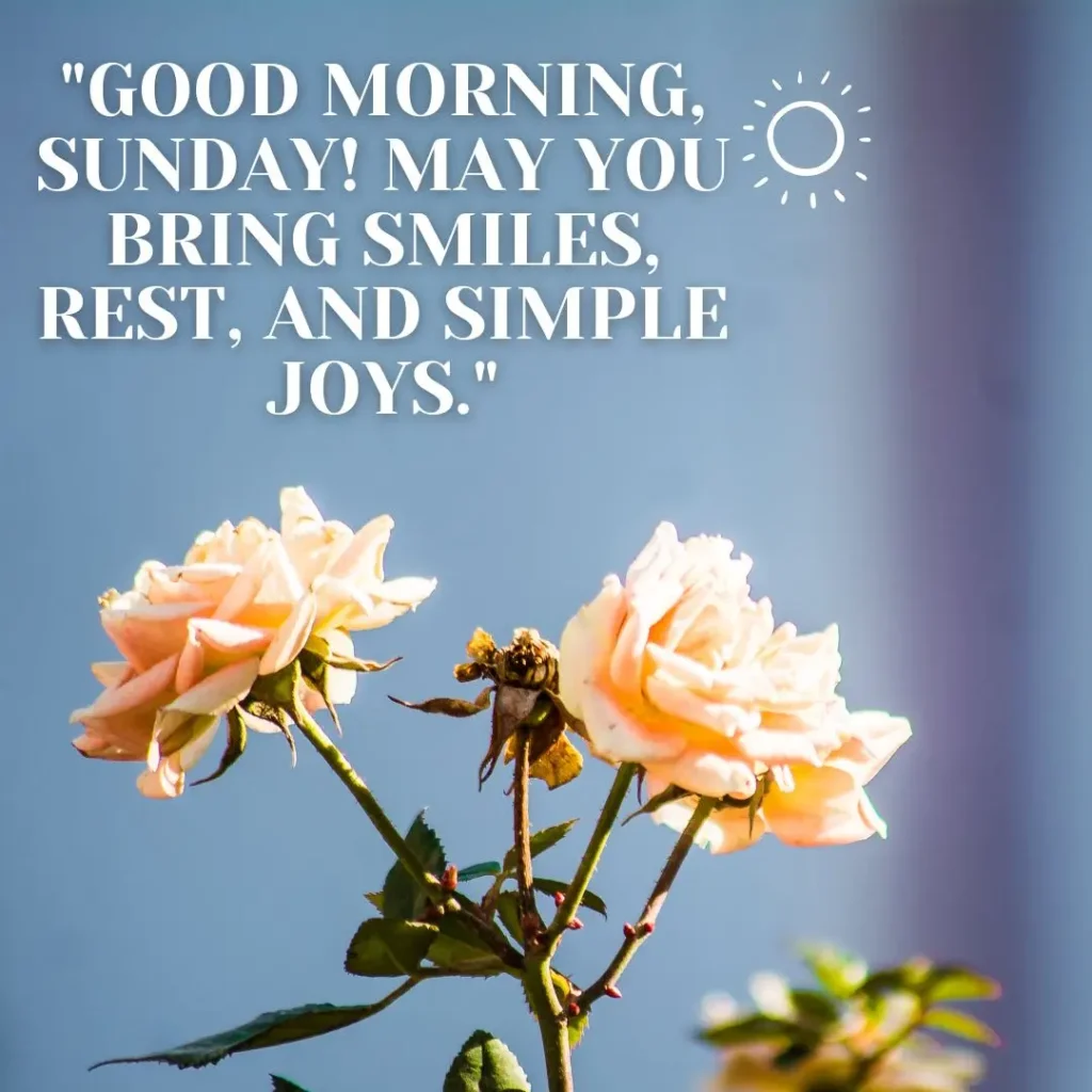 Refreshing Sunday Morning Quotes to Brighten Your Soul and Start the Week Right


