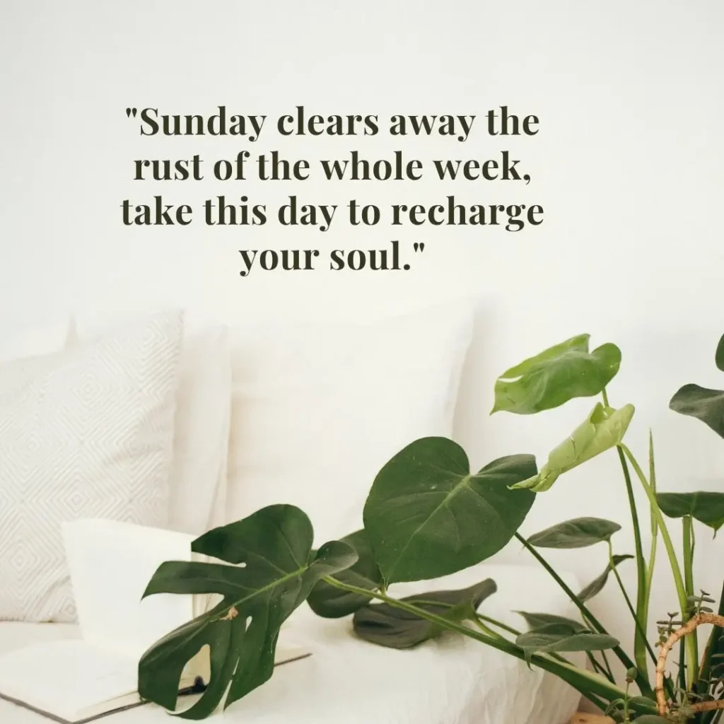 Refreshing Sunday Morning Quotes to Brighten Your Soul and Start the Week Right