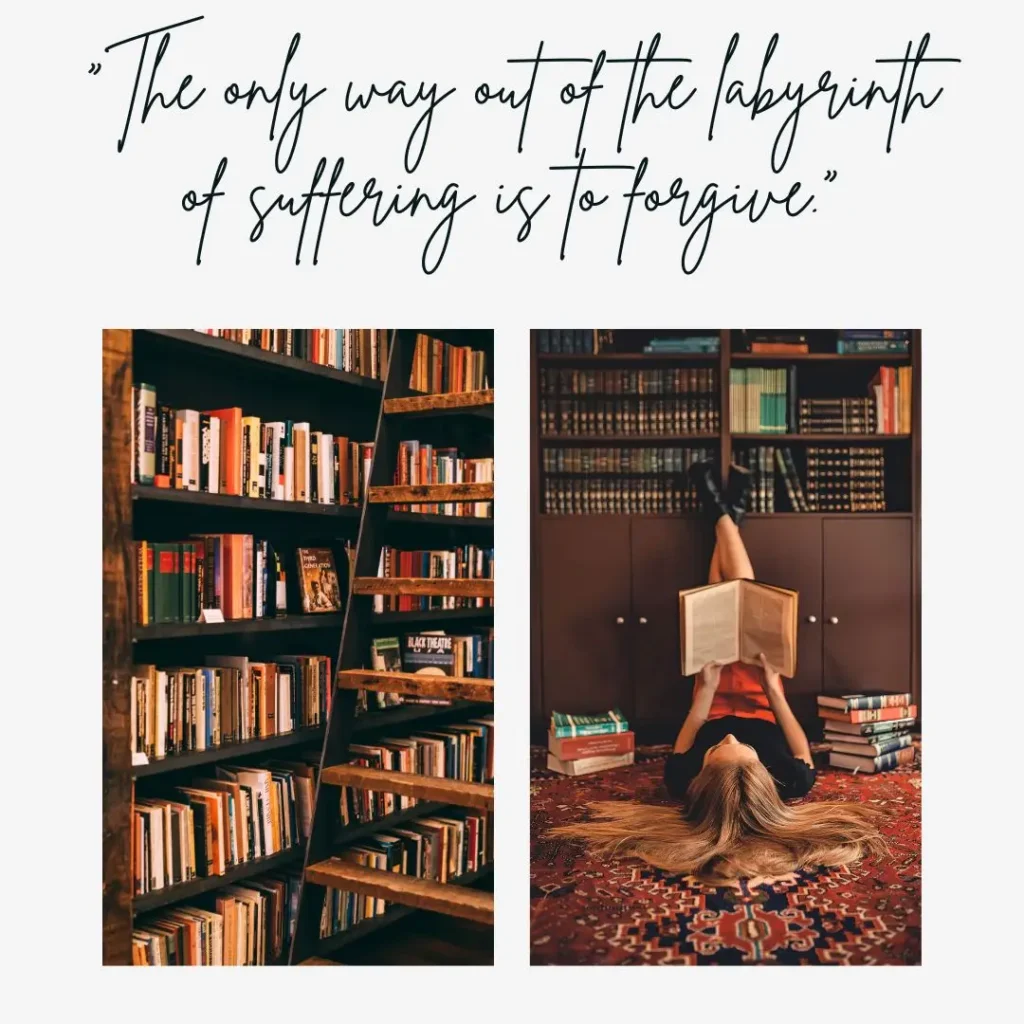 Timeless Book Quotes That Will Touch Your Heart and Inspire Your Mind Timeless Book Quotes That Will Touch Your Heart and Inspire Your Mind