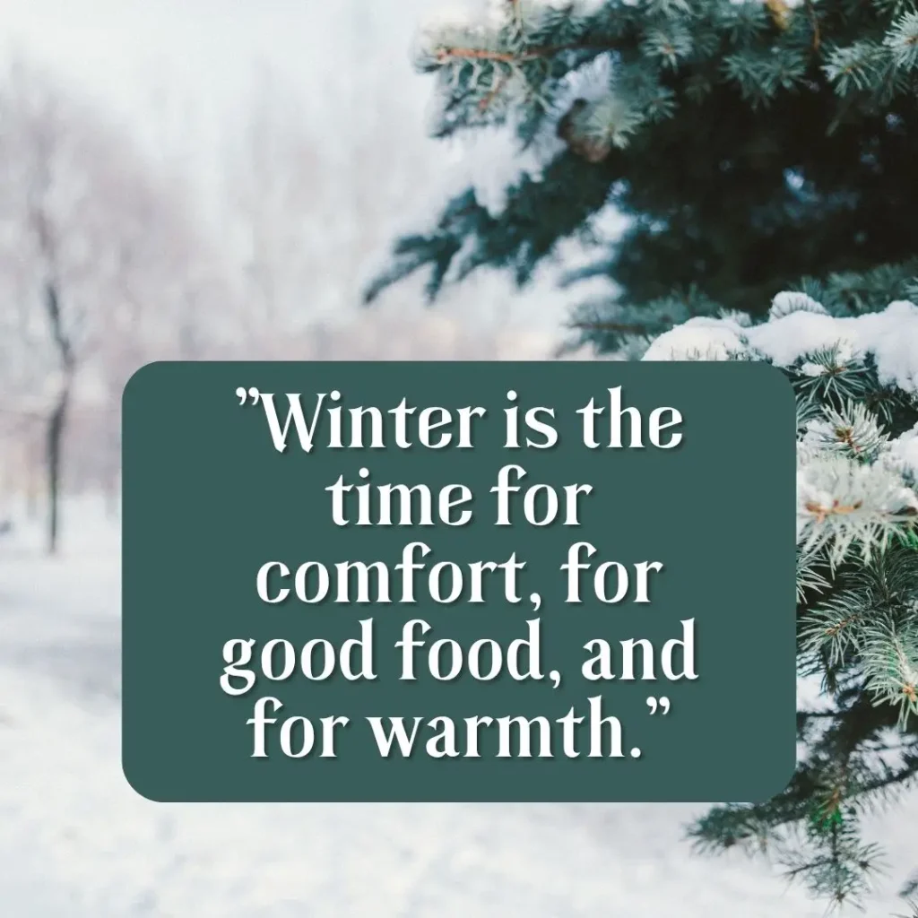 Winter Quotes to Embrace the Magic of the Season