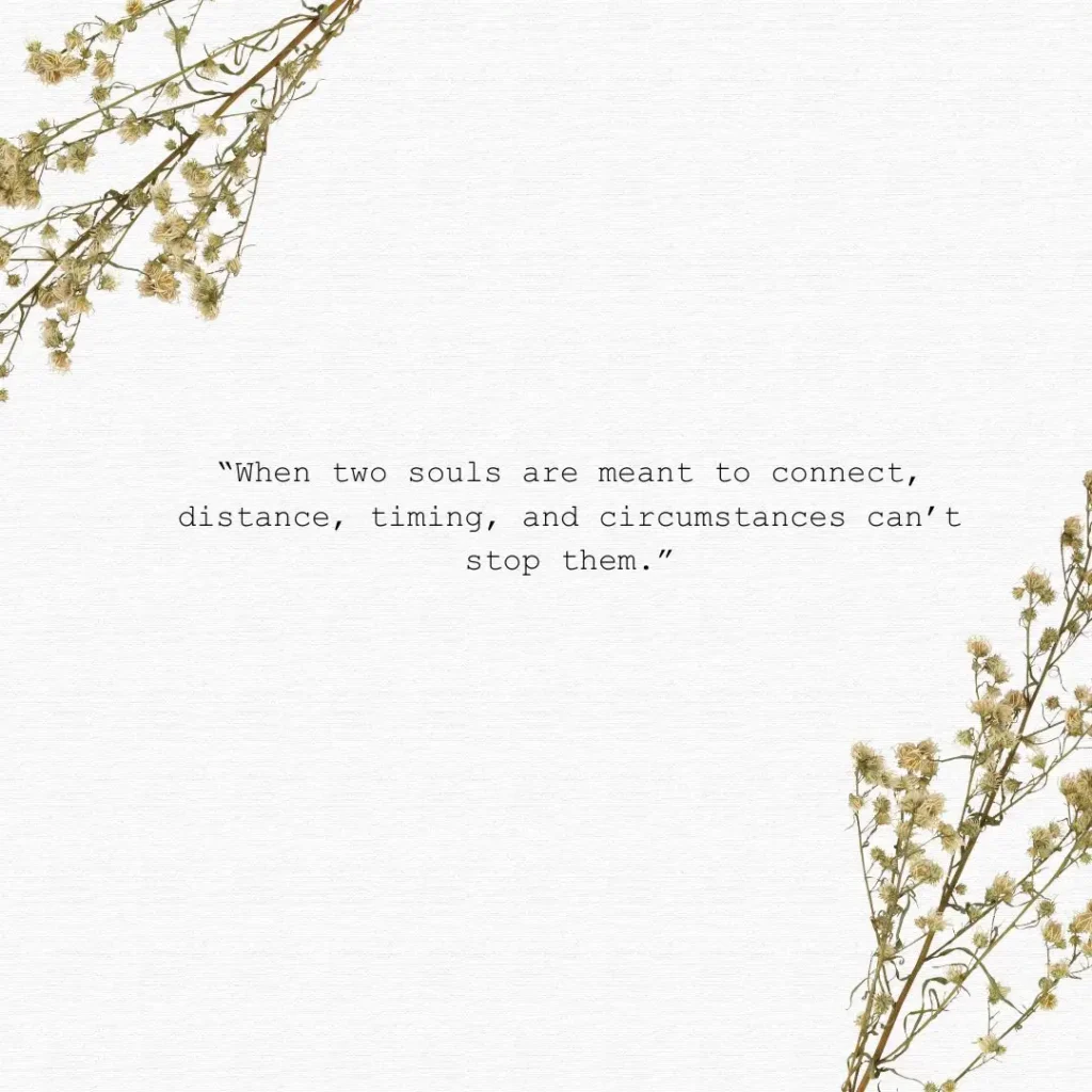 Soulmate Love Quotes That Capture the Magic of True Connection