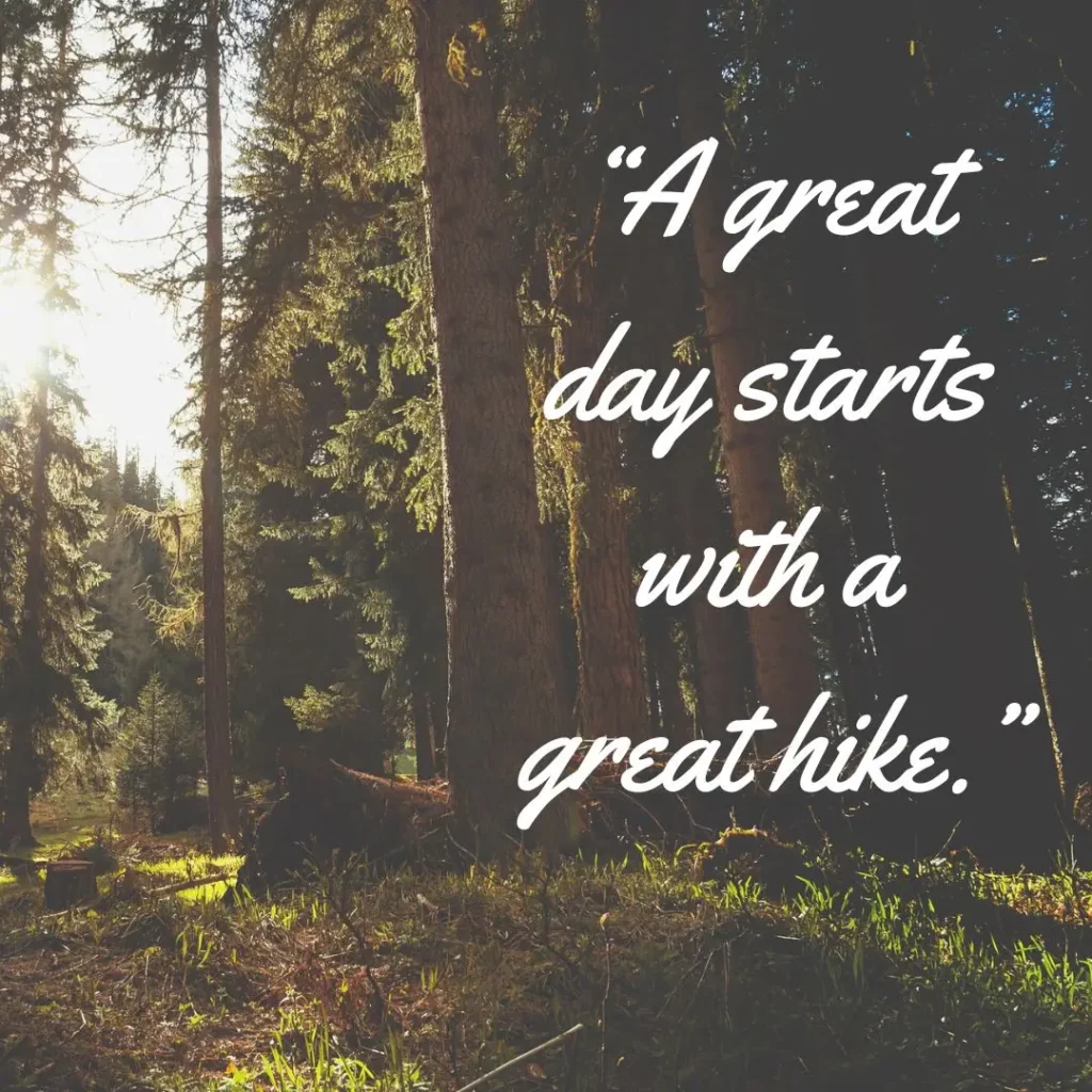 Inspiring Hiking Quotes for Kids to Spark Adventure & Curiosity Inspiring Hiking Quotes for Kids to Spark Adventure & Curiosity