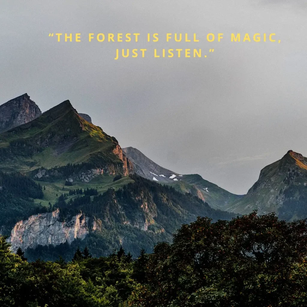 Inspiring Hiking Quotes for Kids to Spark Adventure & Curiosity Inspiring Hiking Quotes for Kids to Spark Adventure & Curiosity