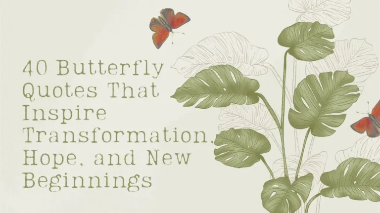 40 Butterfly Quotes That Inspire Transformation, Hope, and New Beginnings