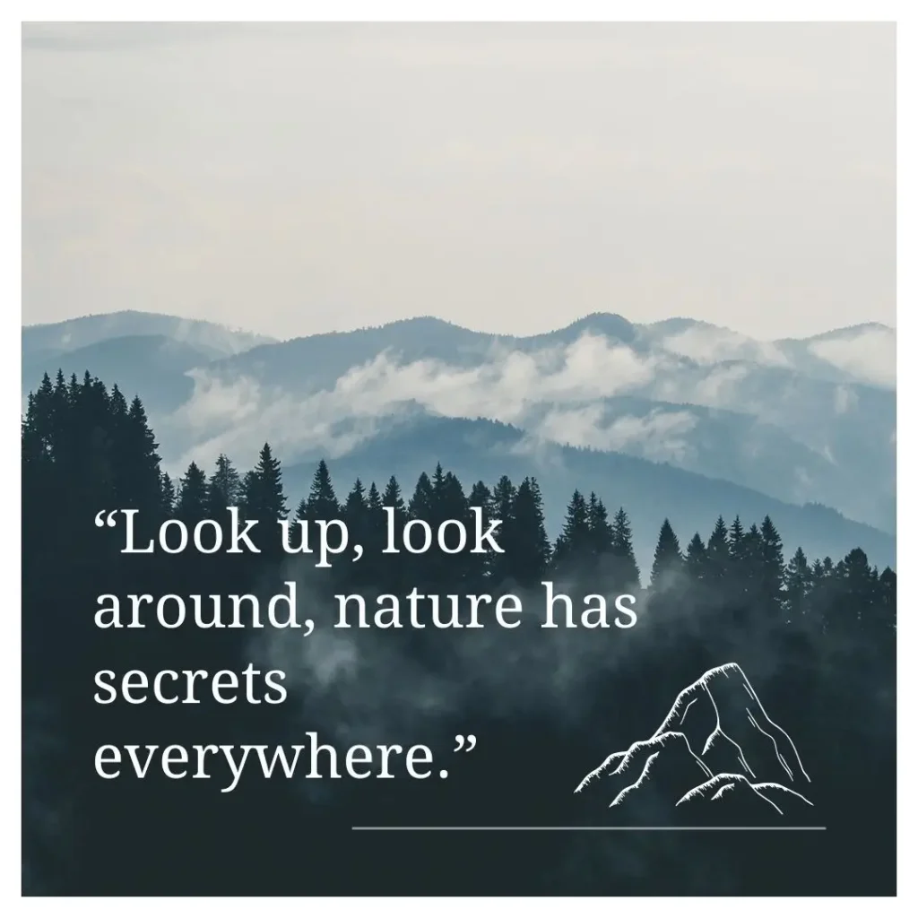 Inspiring Hiking Quotes for Kids to Spark Adventure & Curiosity Inspiring Hiking Quotes for Kids to Spark Adventure & Curiosity